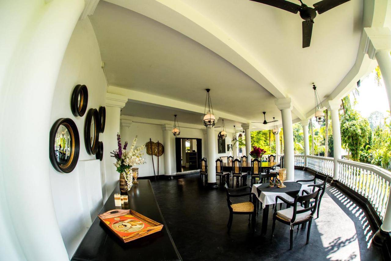 Tropical House - Jungleside Villa Хиккадува Экстерьер фото