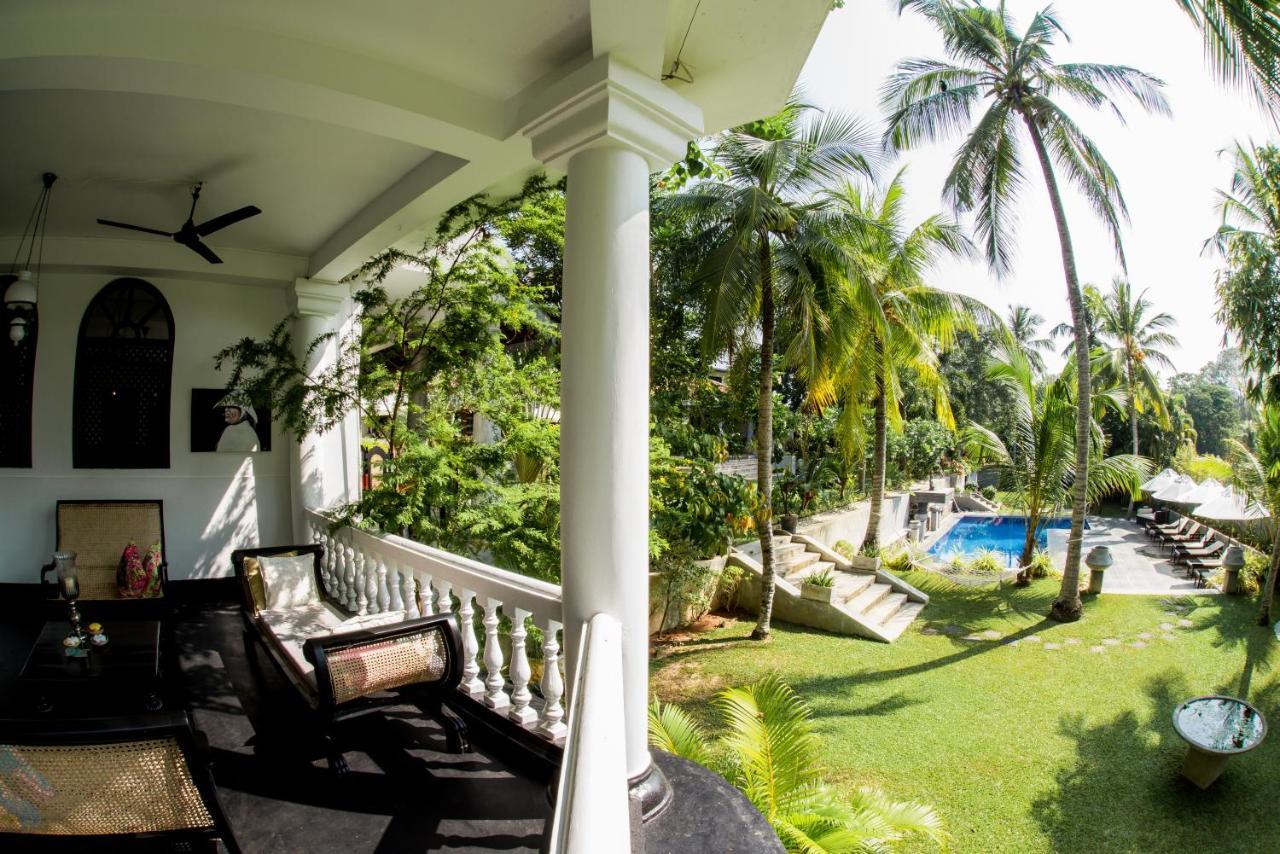 Tropical House - Jungleside Villa Хиккадува Экстерьер фото