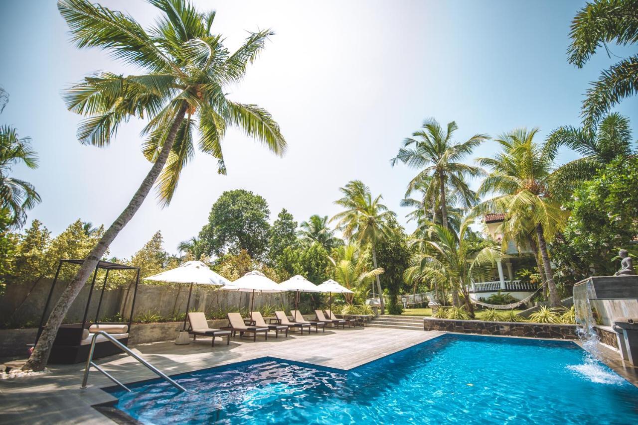Tropical House - Jungleside Villa Хиккадува Экстерьер фото