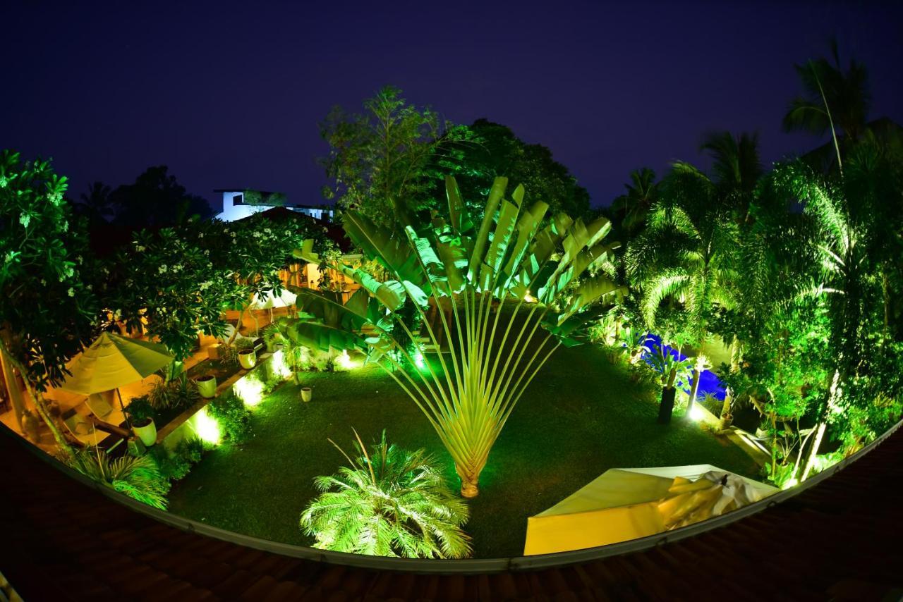 Tropical House - Jungleside Villa Хиккадува Экстерьер фото