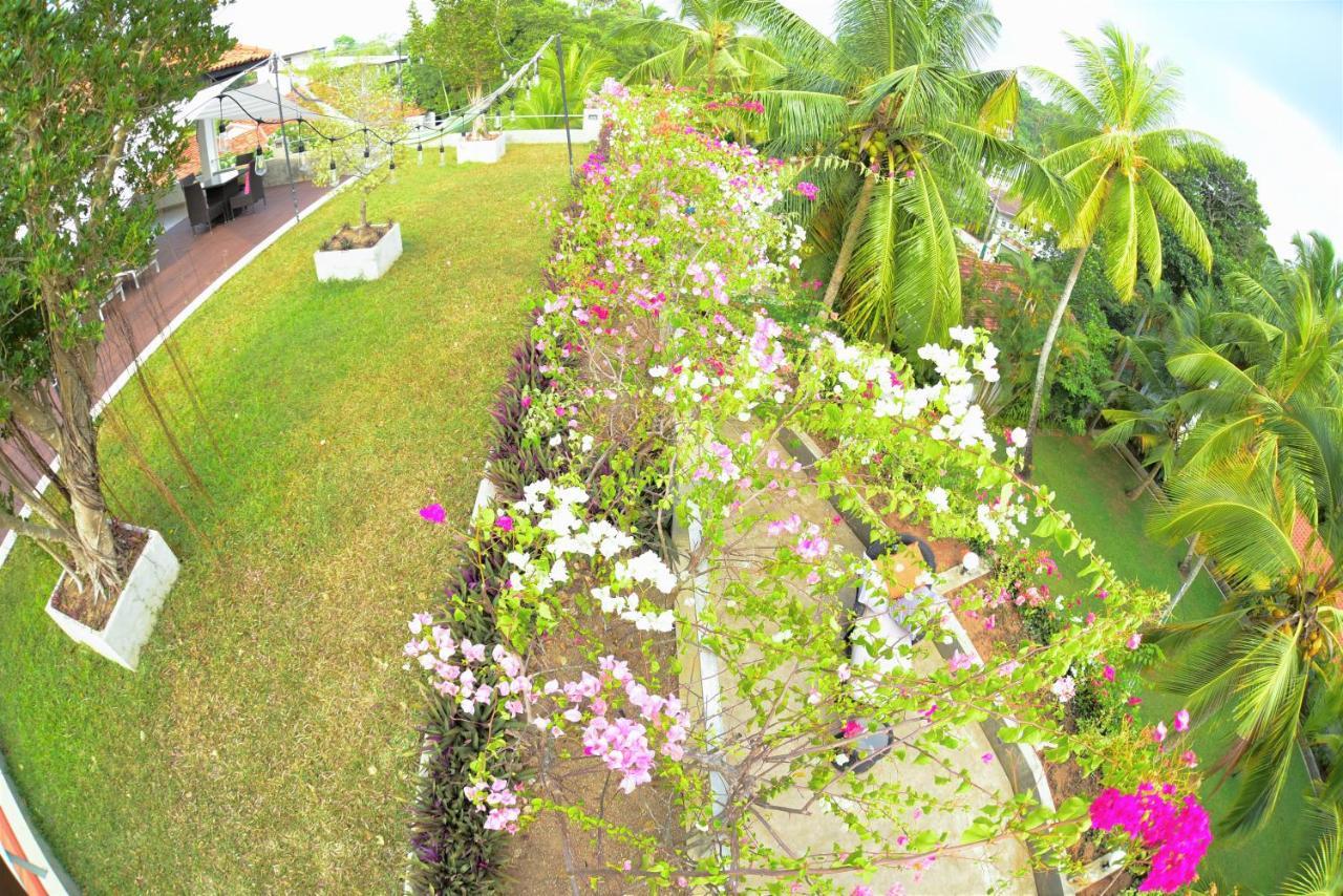 Tropical House - Jungleside Villa Хиккадува Экстерьер фото